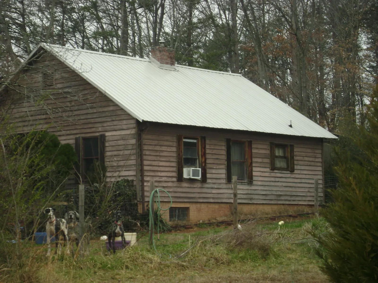 White metal roof on an old wood sided farmhouse, from a Asphalt Shingle Roof Repair job in Cuddy